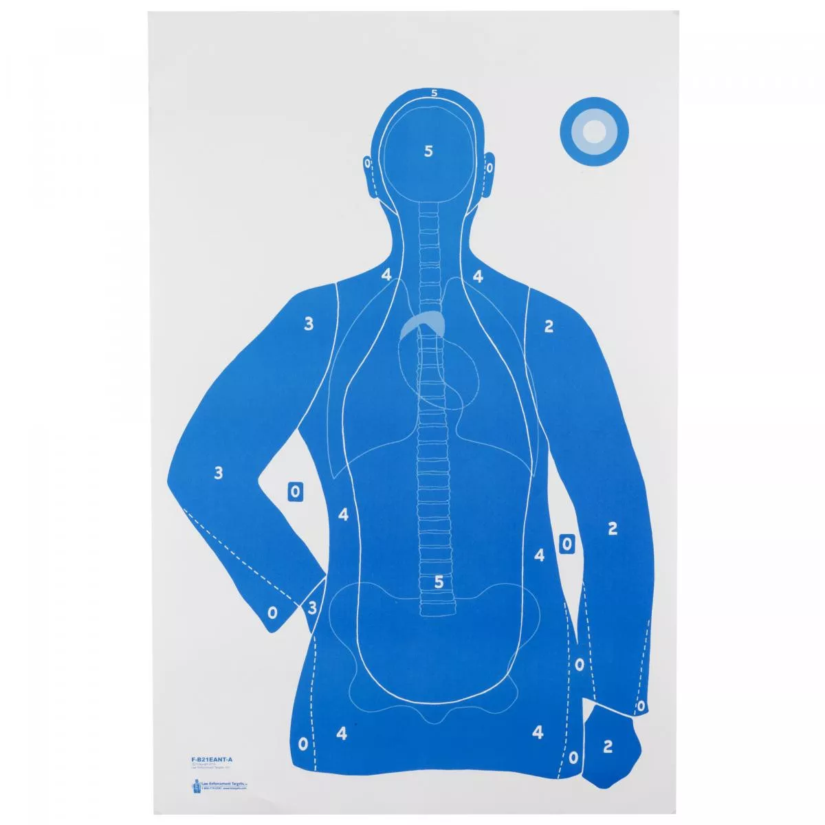 Action Targets B-21E Anatomy Score 100Pk