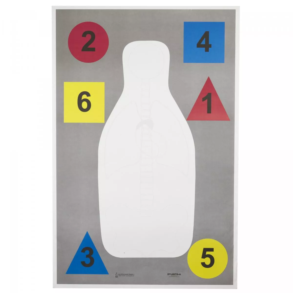 Action Targets DT-ANTQ-A Anatomy Multi Purpose 100Pk