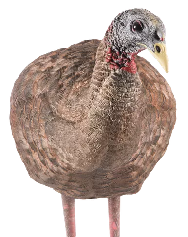 Avian X Lcd Breeder Hen Decoy -