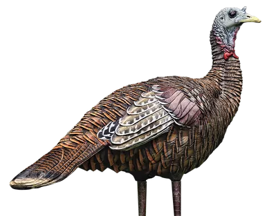 Avian X Lcd Lookout Hen Decoy -