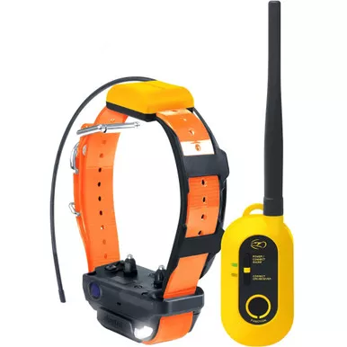 Dogtra PT2 Pathfinder2 Wireless Collar, Orange