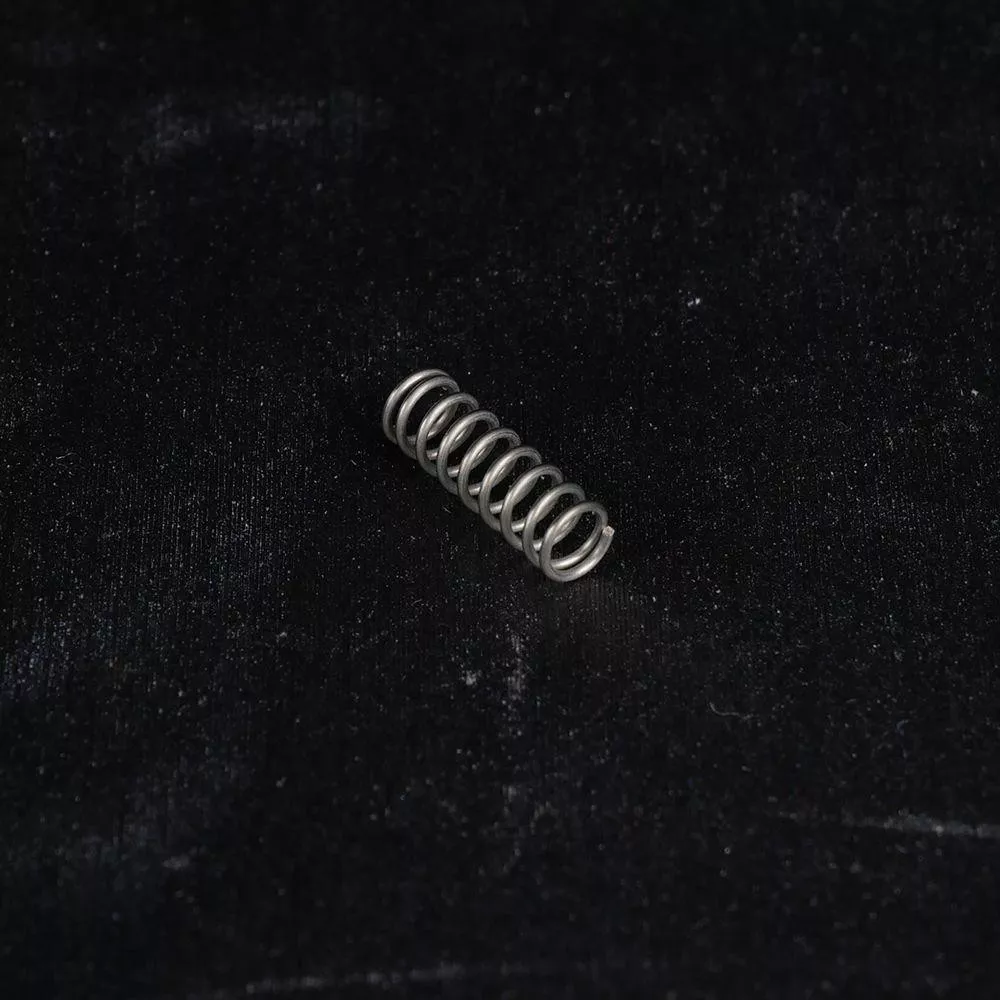 EGW Evolved AR Bolt Catch Spring
