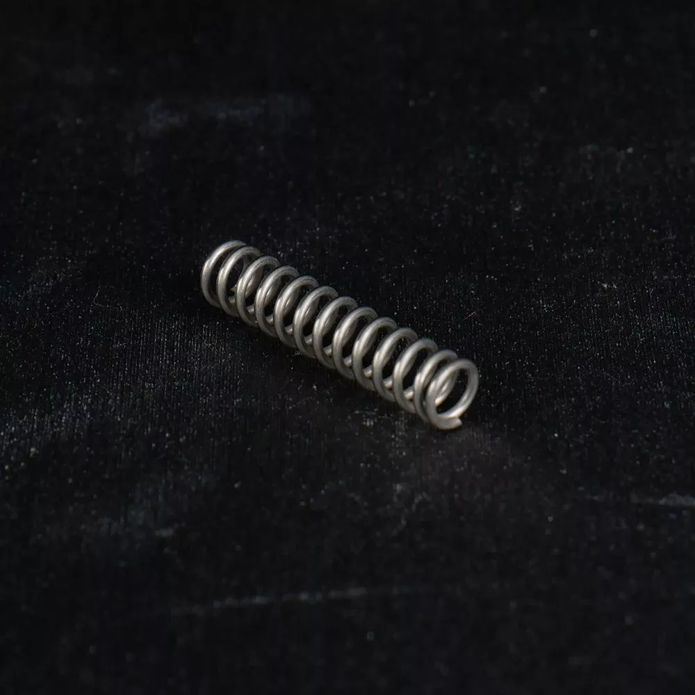 EGW Evolved AR Buffer Retainer Spring