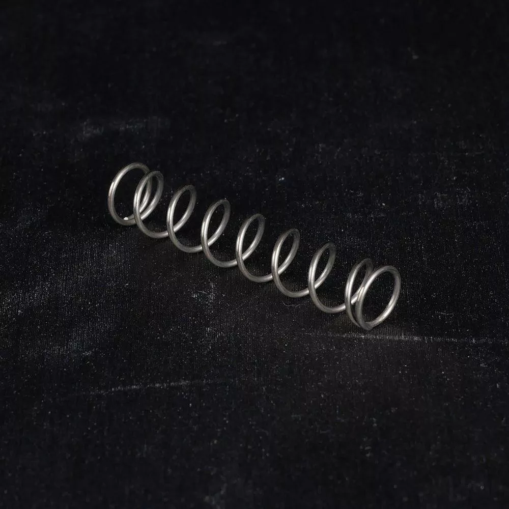 EGW Evolved AR Mag Catch Spring