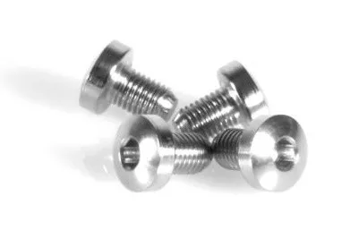 EGW Grip Screws Hex SS (Pkg of 4)