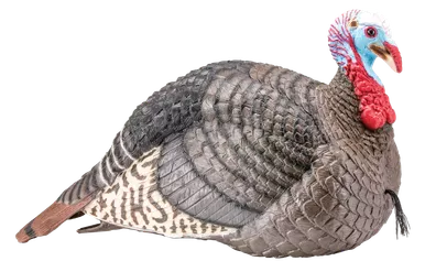Hunters Specialties Strut Lite Jake Decoy