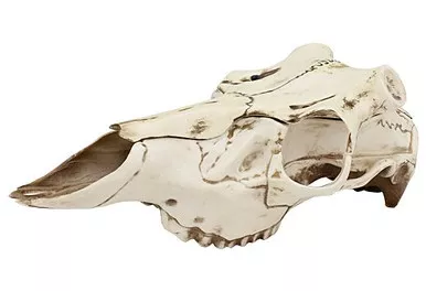 Mountain Mike's Natural Causes - Skull Master Medium