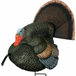 PRIMOS GOBBSTOPPER STRUTTER