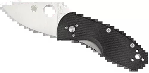 Spyderco Ambitious 2.25 Drop Point C148GP